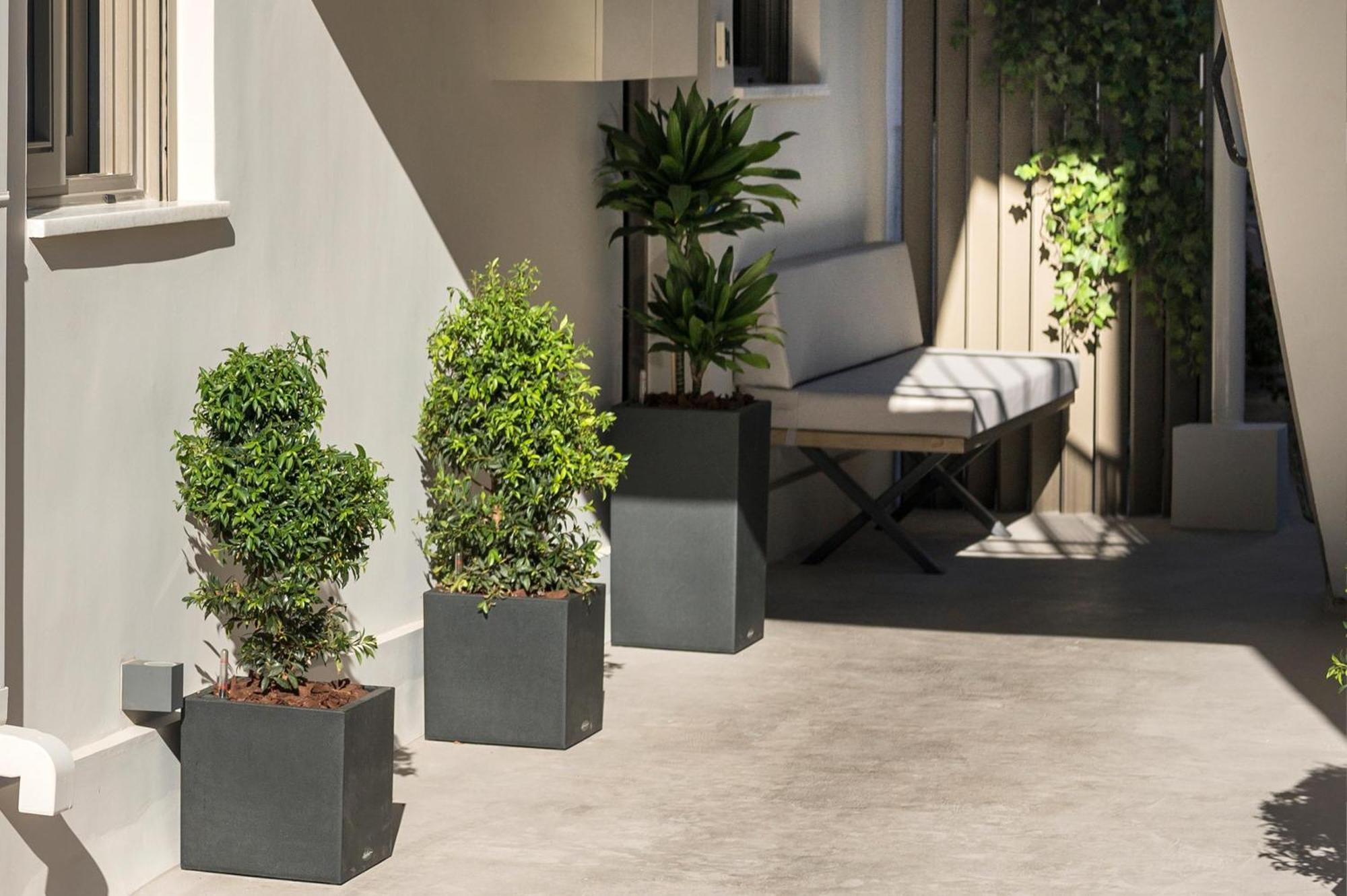Π Suite Project: Smart Bnb Chania  ภายนอก รูปภาพ
